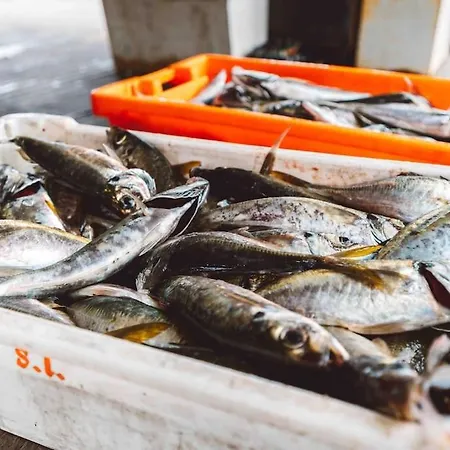 Casa Senhorinha * Порту