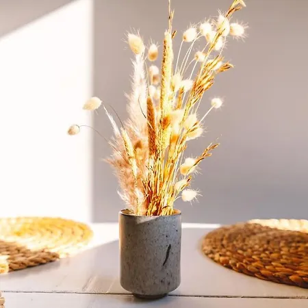 Casa Senhorinha Порту