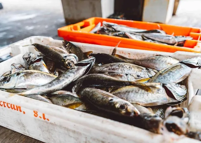 Casa Senhorinha * 波尔图