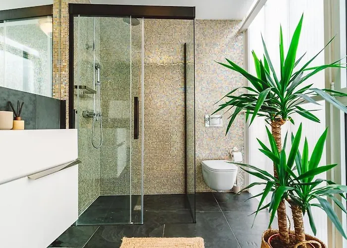 Casa Senhorinha 别墅 *