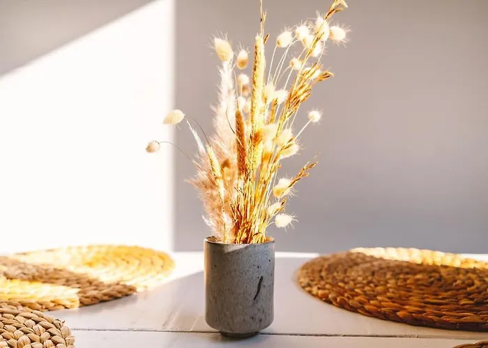 Casa Senhorinha 포르투