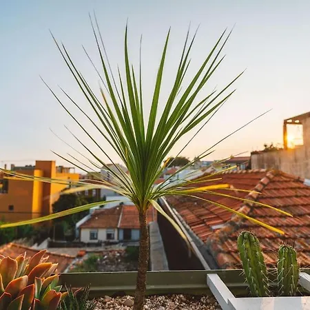 Casa Senhorinha * Porto