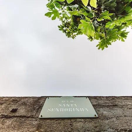 Casa Senhorinha Willa *
