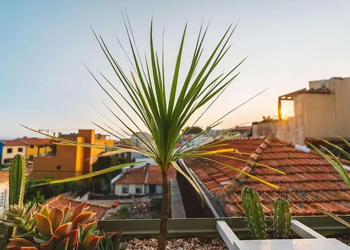 Casa Senhorinha * Oporto